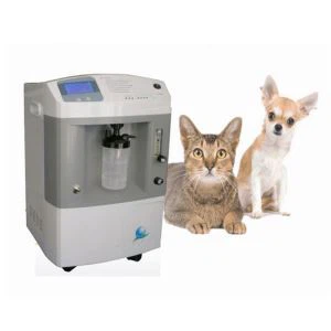 10 Liter Oxygenator für Tiere verwenden