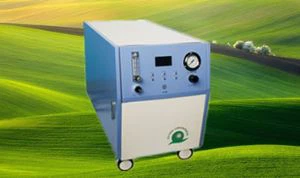 10L Hochdrucksauerstoffkonzentrator für Veterinärmedizin