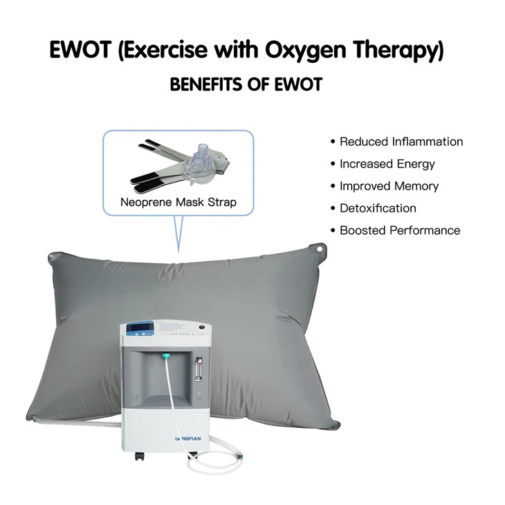 EWOT Training System 0.04-0.07Mpa 10L Oxygen Concentrator With 1000L Oxygen Reservoir Bag